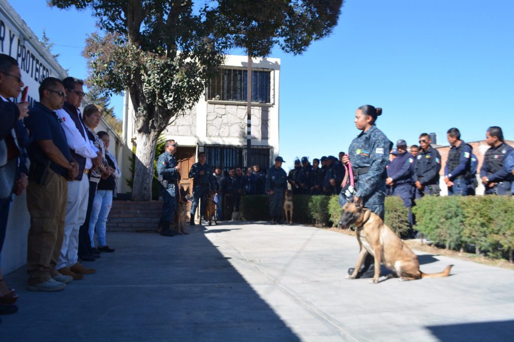 Escuadrón canino para fortalecer la seguridad pública de los apanenses