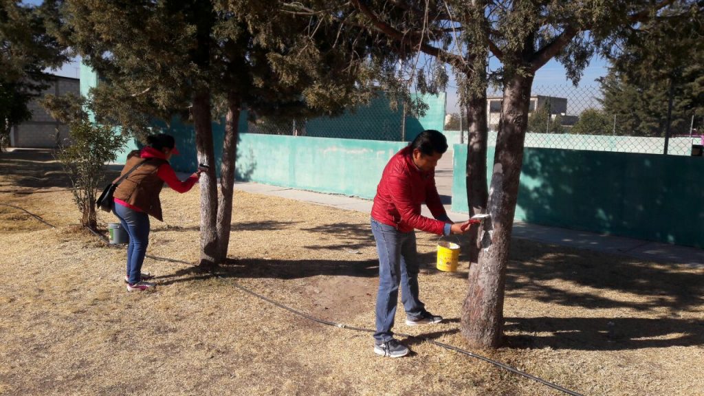 Concurridas faenas en comunidades