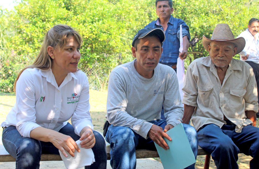 Campesinos y ganaderos deben acceder a créditos