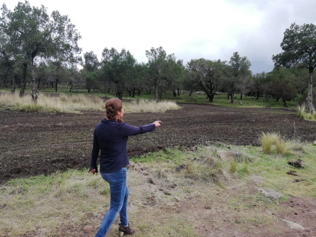 Lluvias benéficas para el campo