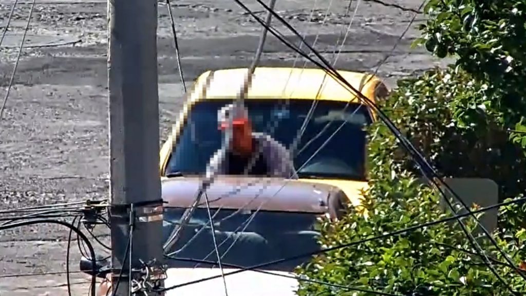 Cámaras sorprenden a fallido ladrón