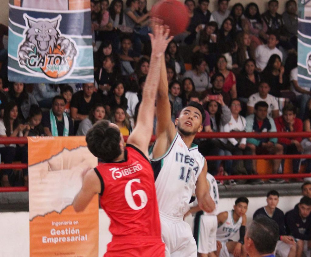 Gatos Salvajes se preparan para la segunda temporada