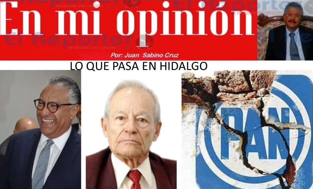 EN MI OPINIÓN