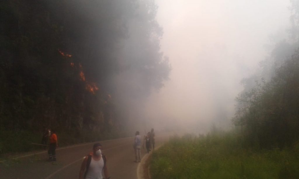 Incendio origino cierre de carretera