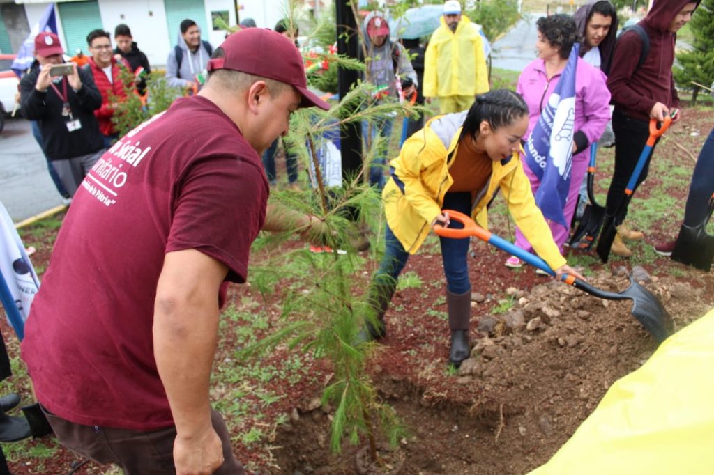 Reforestan Fraccionamiento Mineral II