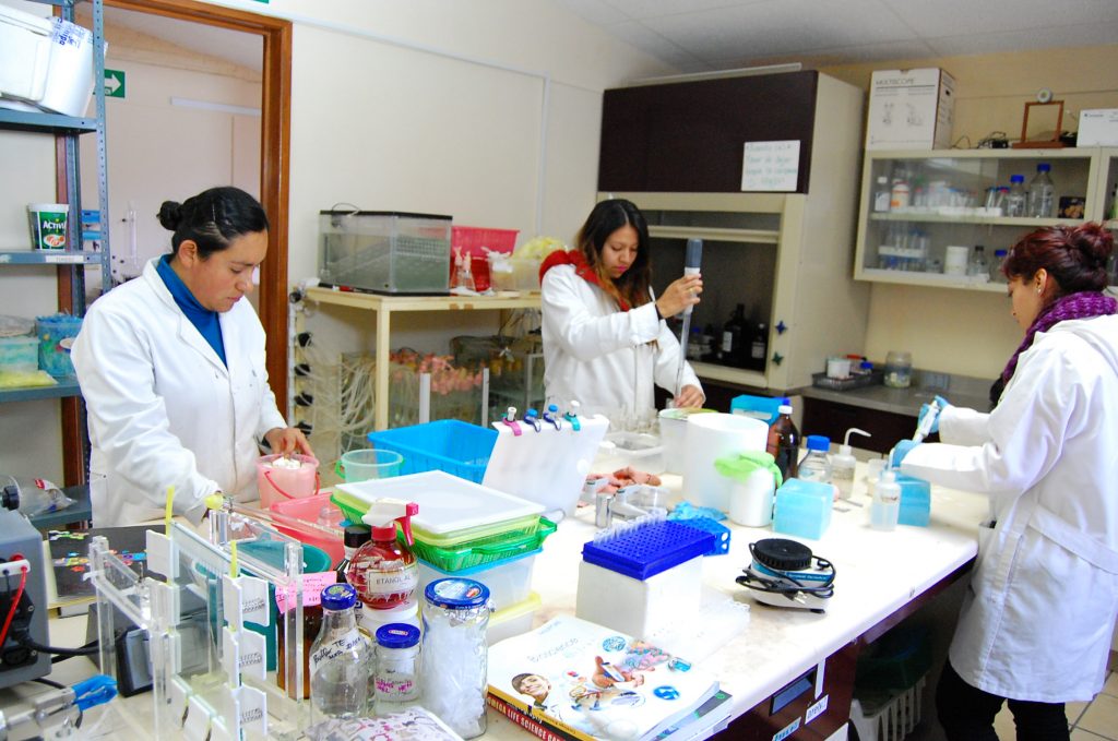 convocatoria del Programa de Becas Miguel Hidalgo