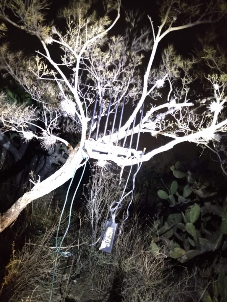 Golpe a la delincuencia en Hidalgo