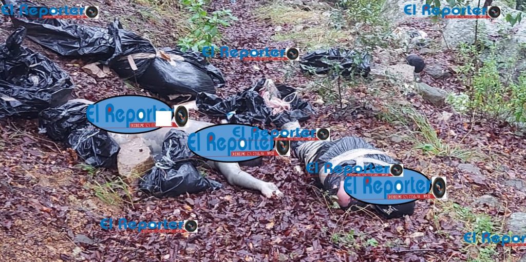 Seis ejecutados podrían ser Policías Federales