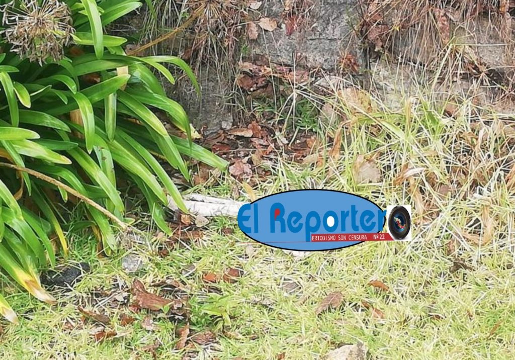 Abandonan bolsas con restos humanos