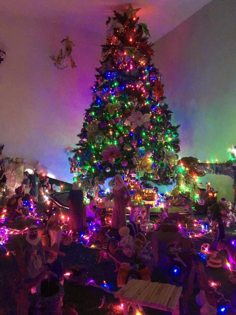 Recomienda IMSS tener cuidado con adornos navideños para prevenir accidentes