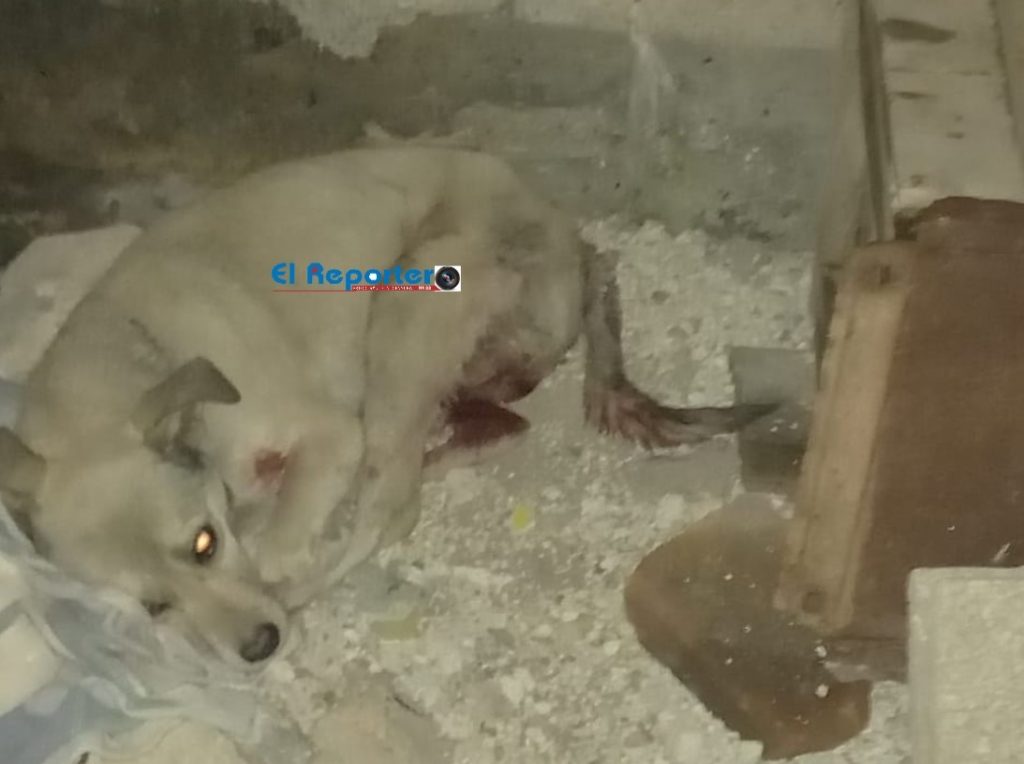 Sujeto vicioso amenaza de muerte a los vecinos