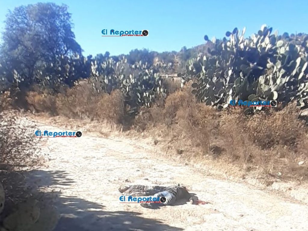 Dos hombres asesinados en el Día del Amor y la Amistad