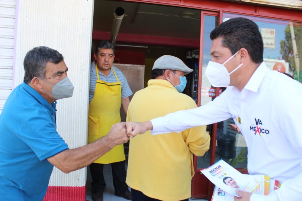 Eliminan a técnicos extensionistas que protegían salud de bosques y cultivos