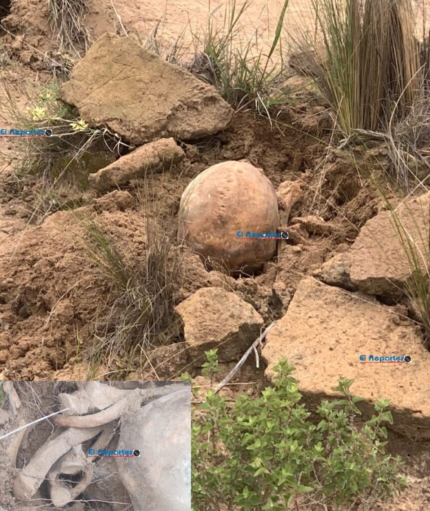 Pastorcitos realizan macabro hallazgo