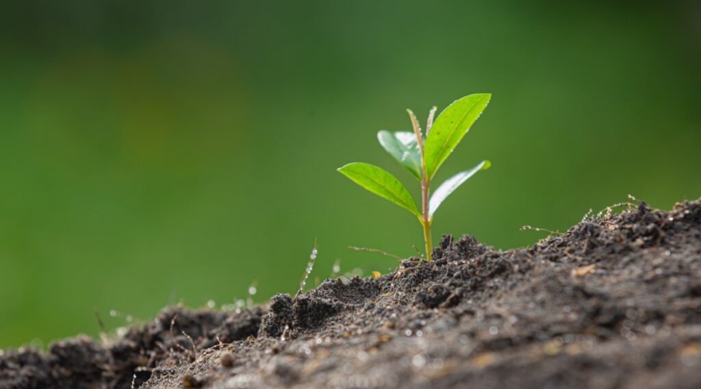 Alista UAEH 45 Congreso Nacional del Suelo