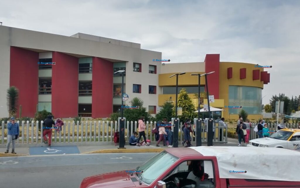 Niño grave tras ser atacados por perros