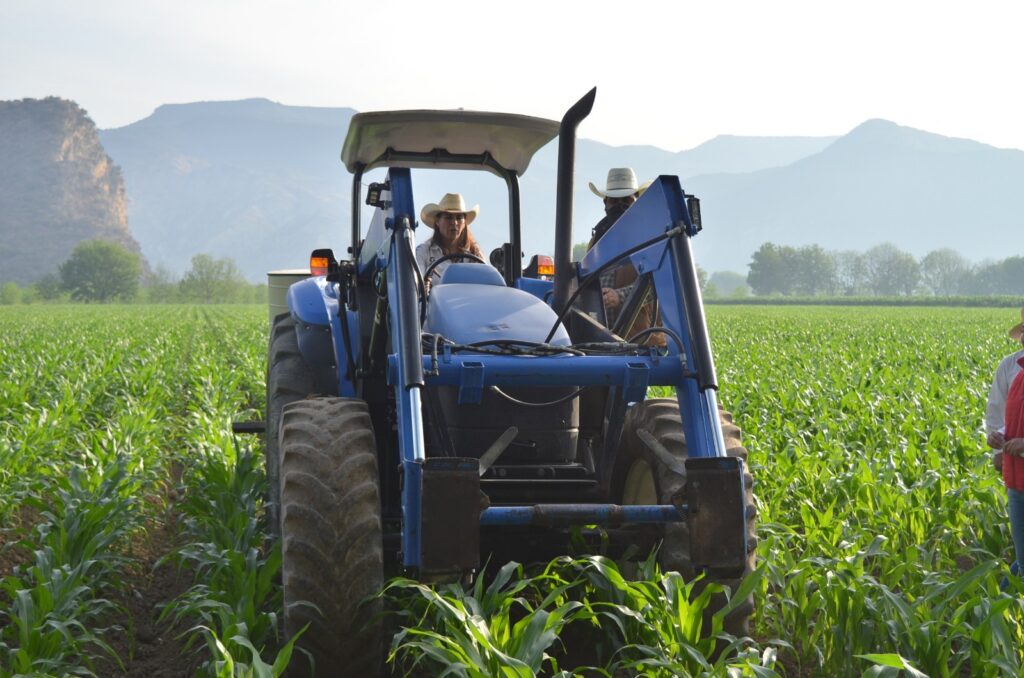 Candidata aliancista refirió que se dará impulso a la tecnificación