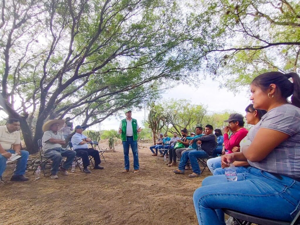 «Medio ambiente debe ser prioridad para el gobierno”, aseguró Lima Morales
