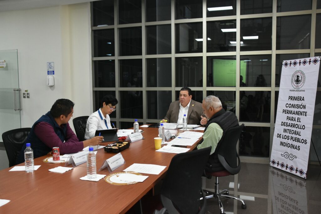Trabajos orientados al diseño de bases para la Consulta Indígena