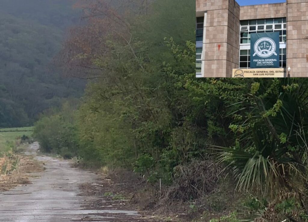 Siete ejecutados por pelea de cárteles