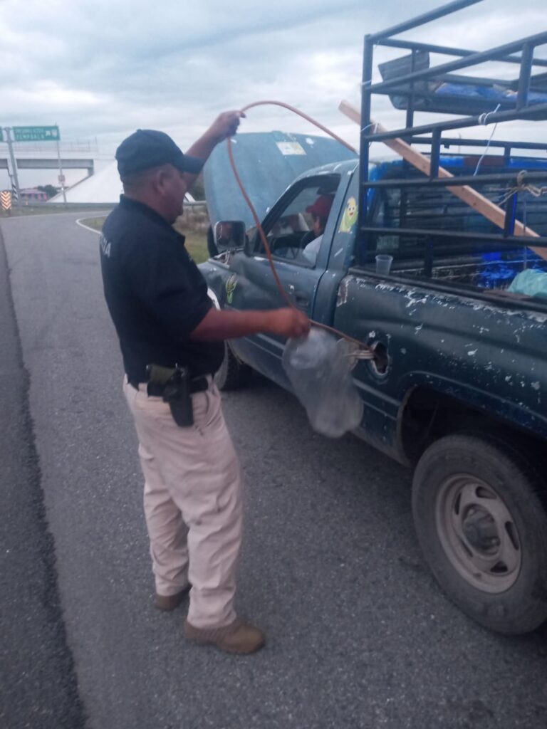 Auxilio a familia varada en carretera federal