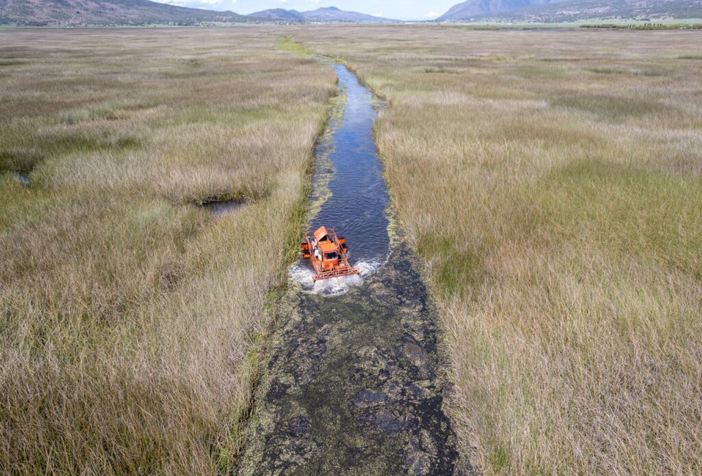 Limpian canales de navegación en laguna de Tecocomulco