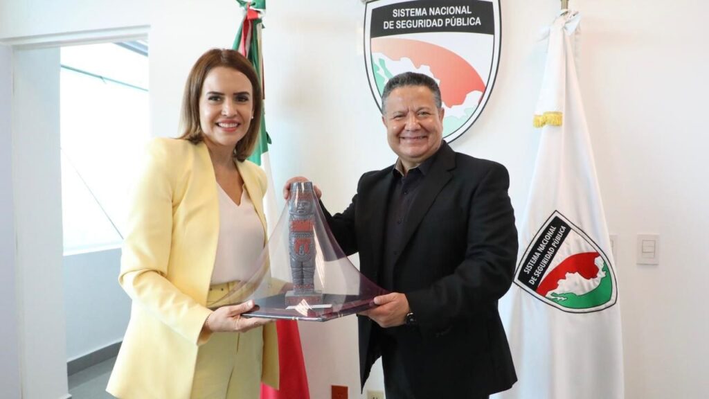 Coordinación en materia de Seguridad