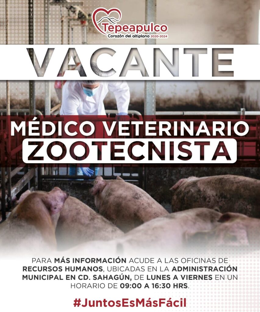 Vacante de empleo para médico veterinario zootecnista