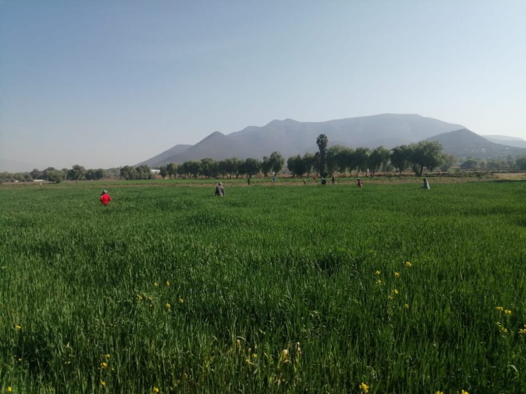 Notas cortas del altiplano de Hidalgo