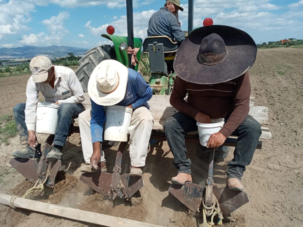 Termino el paro de cebaderos del altiplano