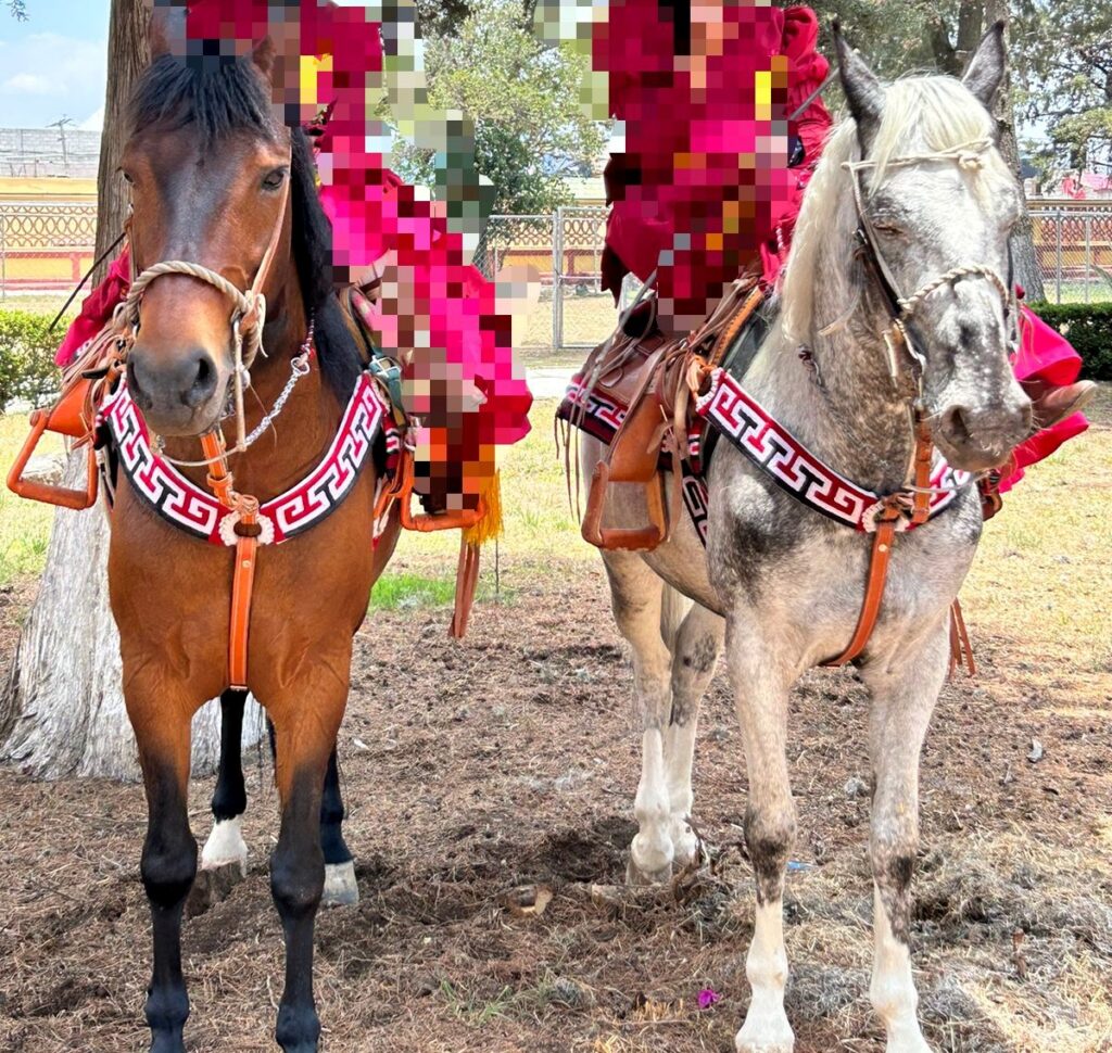 Urge apoyo para recuperar un par de caballos charros