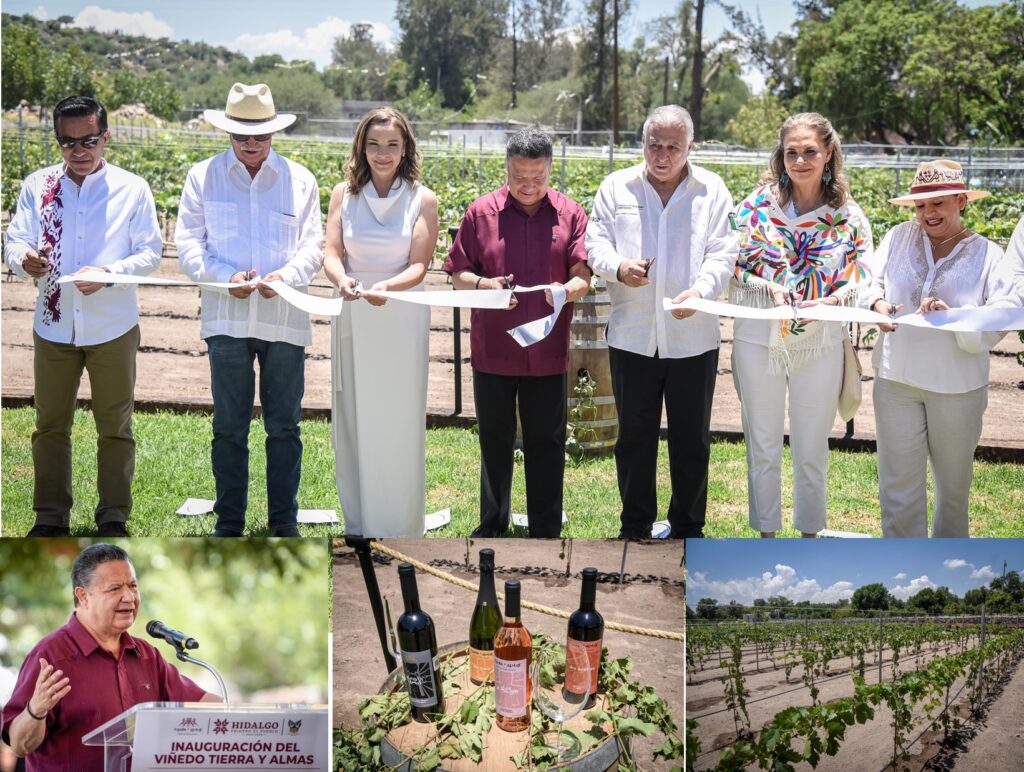 Menchaca Salazar inaugura viñedo “Tierra y Almas”