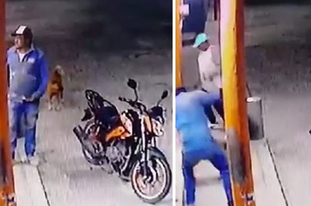 Sujeto golpeo con un block a un perro
