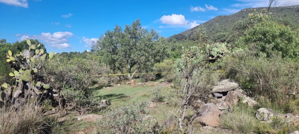 Freseros desaparecidos fueron hallados sin vida