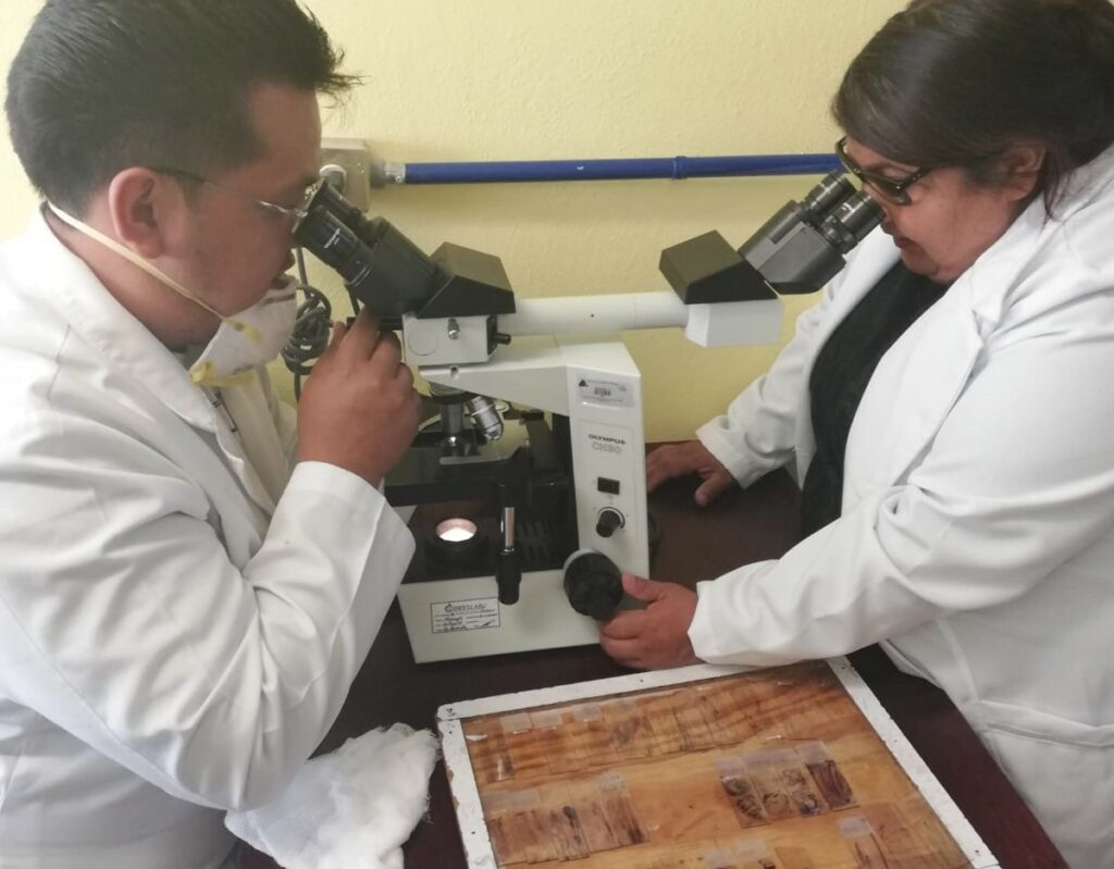 Hábitos saludables, determinantes en la proliferación de todos los tipos de cáncer: SSH