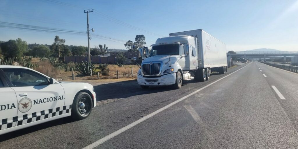 Capturan a «rata» del transporte público