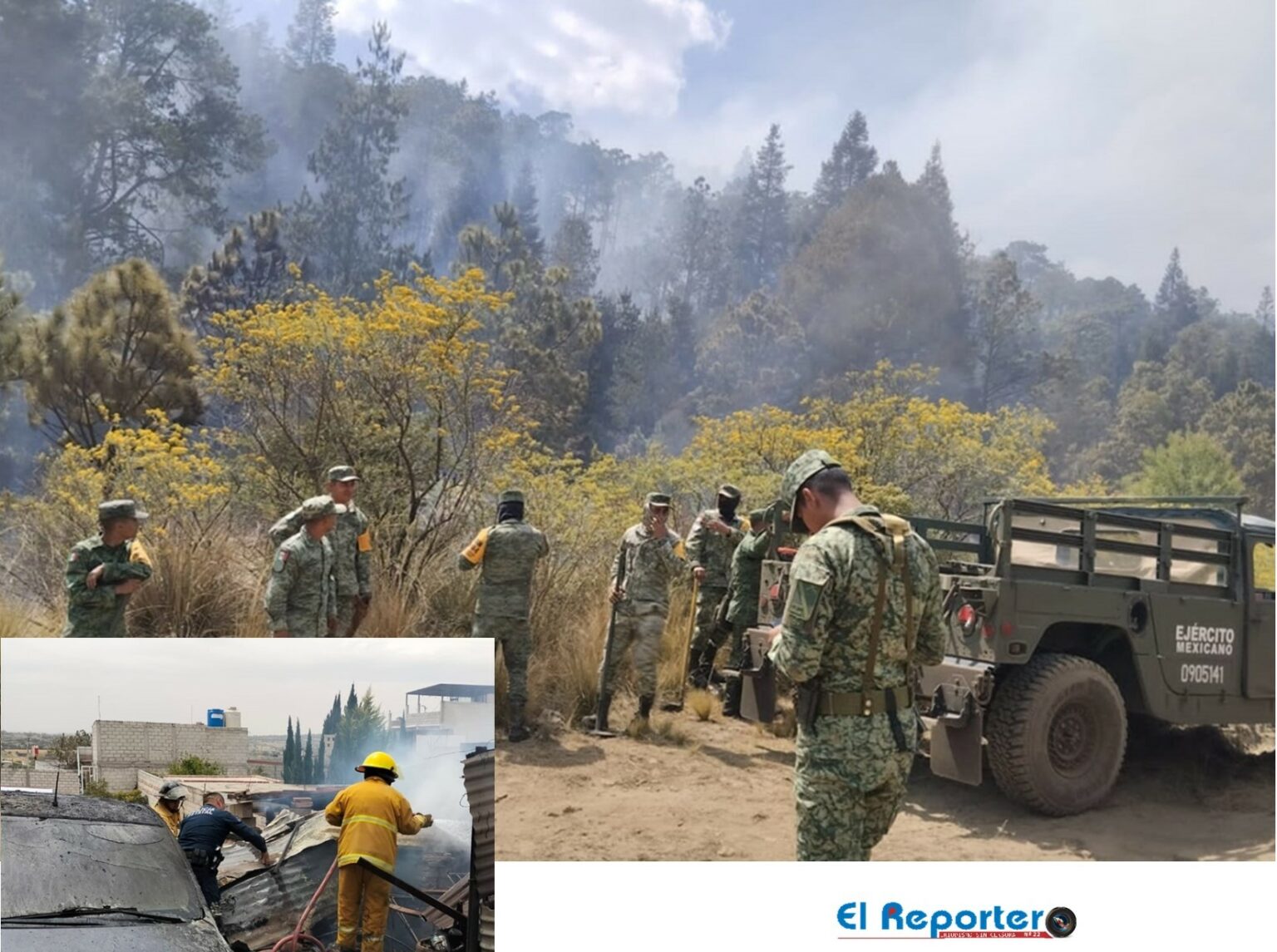 Incendios cusan graves daños al ambiente