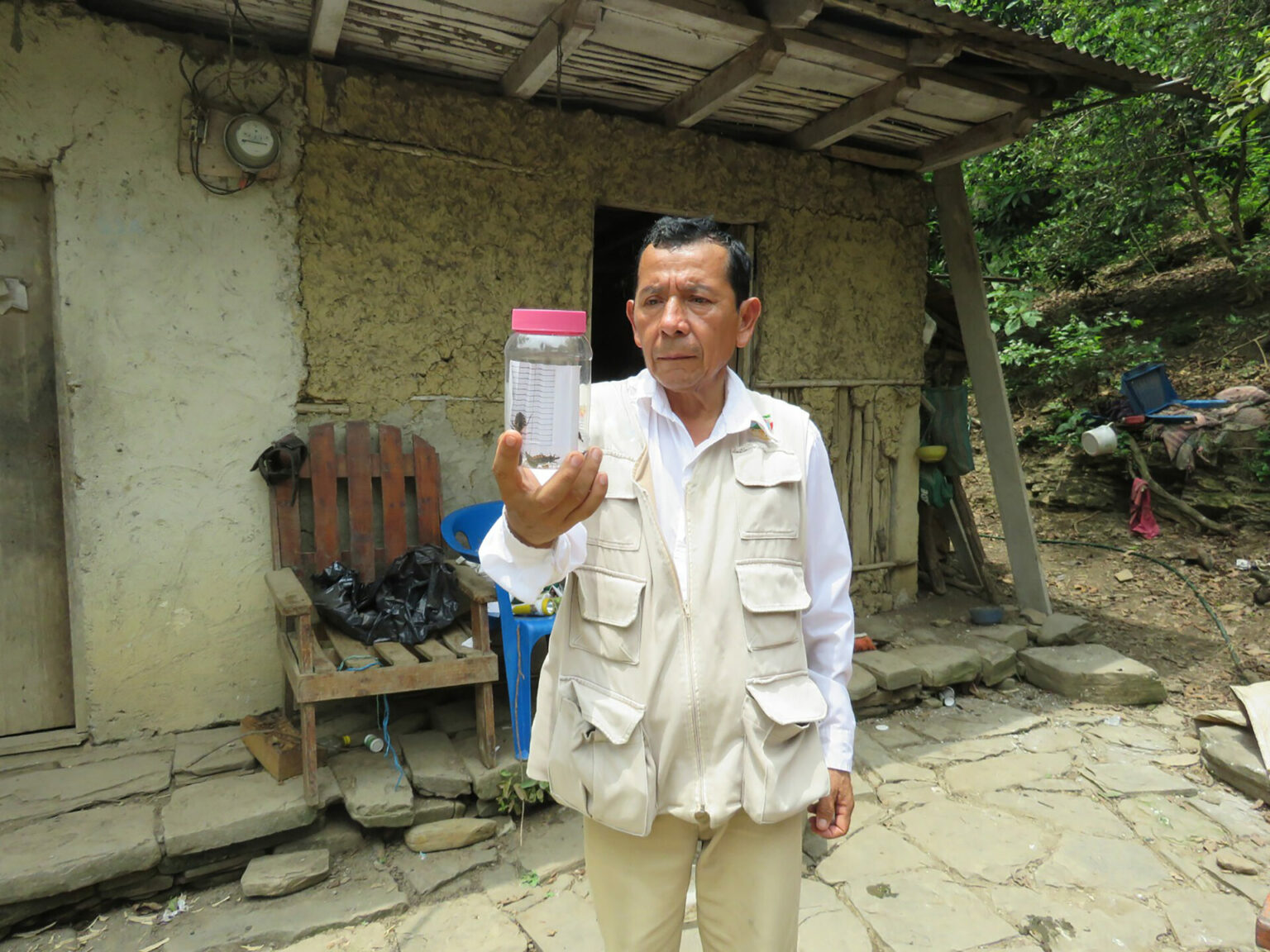 ¿Sabes qué son las Chagas?