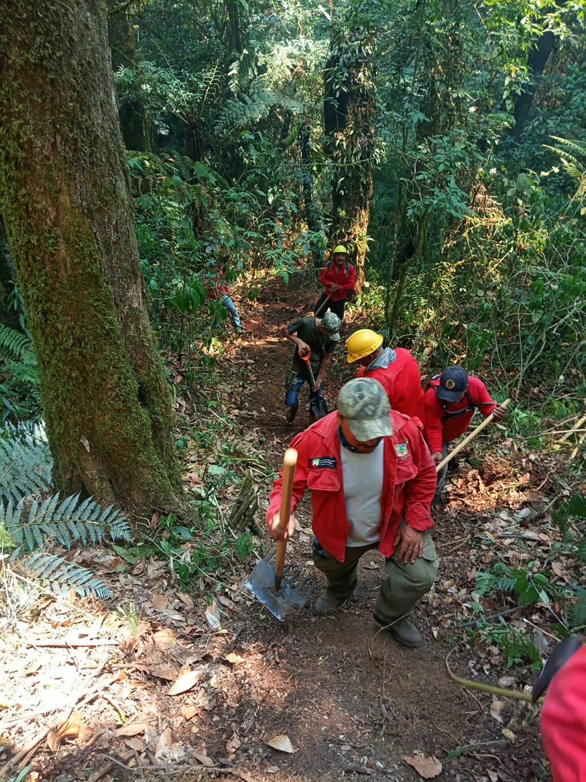 Incendio entre Lolotla y Molango