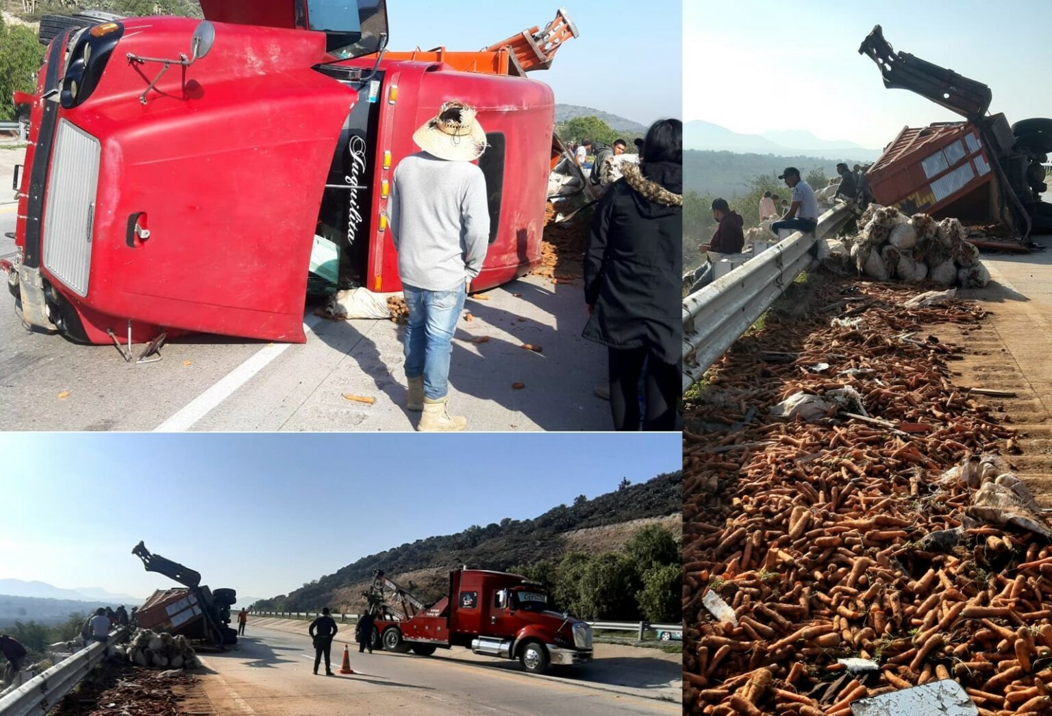 Volcadura de torton cargado de zanahorias