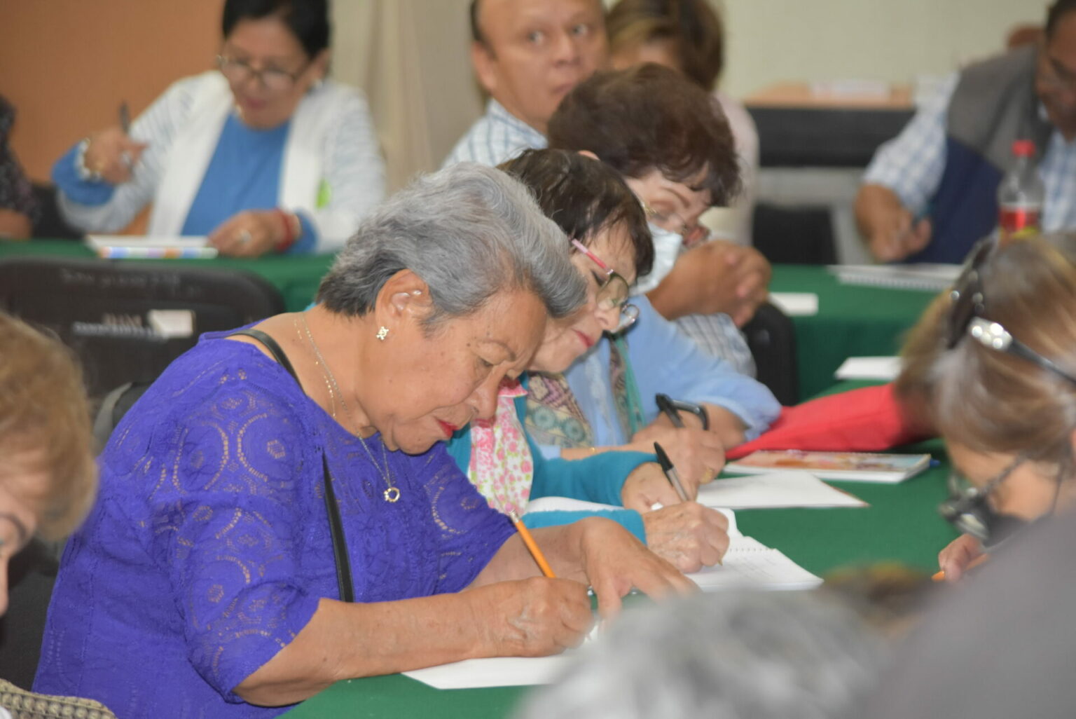 Hoy, Día Nacional del Adulto Mayor