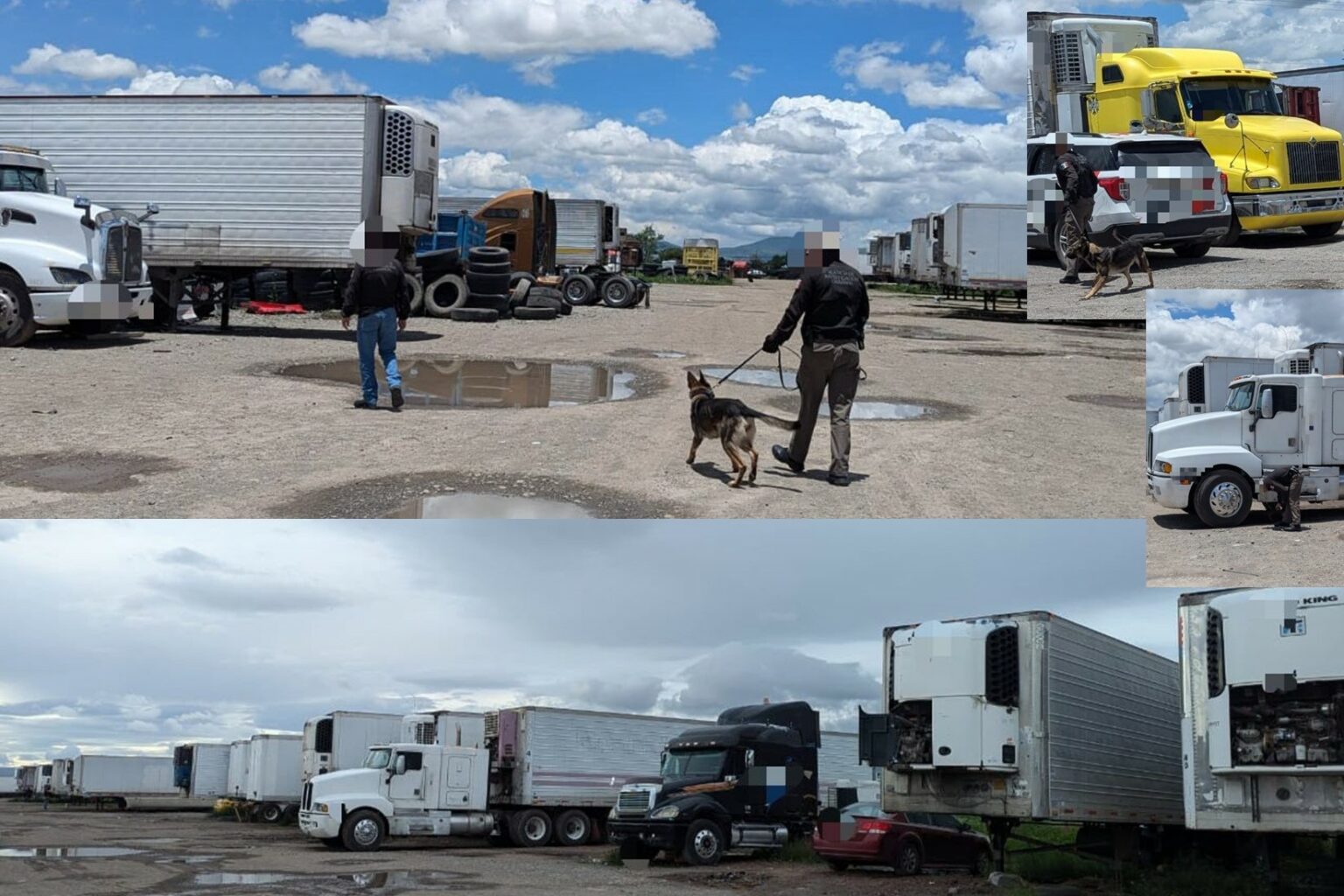 FGR asegurá decenas de vehículos robados