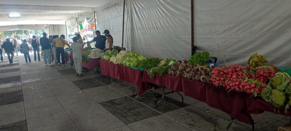 Éxito en la Feria de Microempresas y Cooperativas