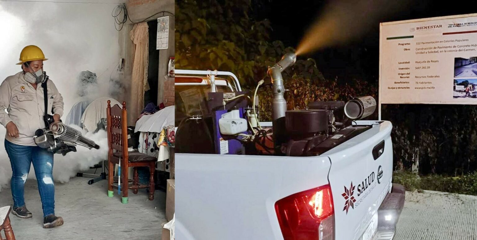 Panorama Estatal del dengue