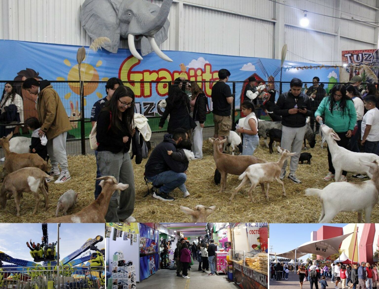 ¿Qué hacer en familia este sábado en la Feria de San Francisco Pachuca Hidalgo 2024?