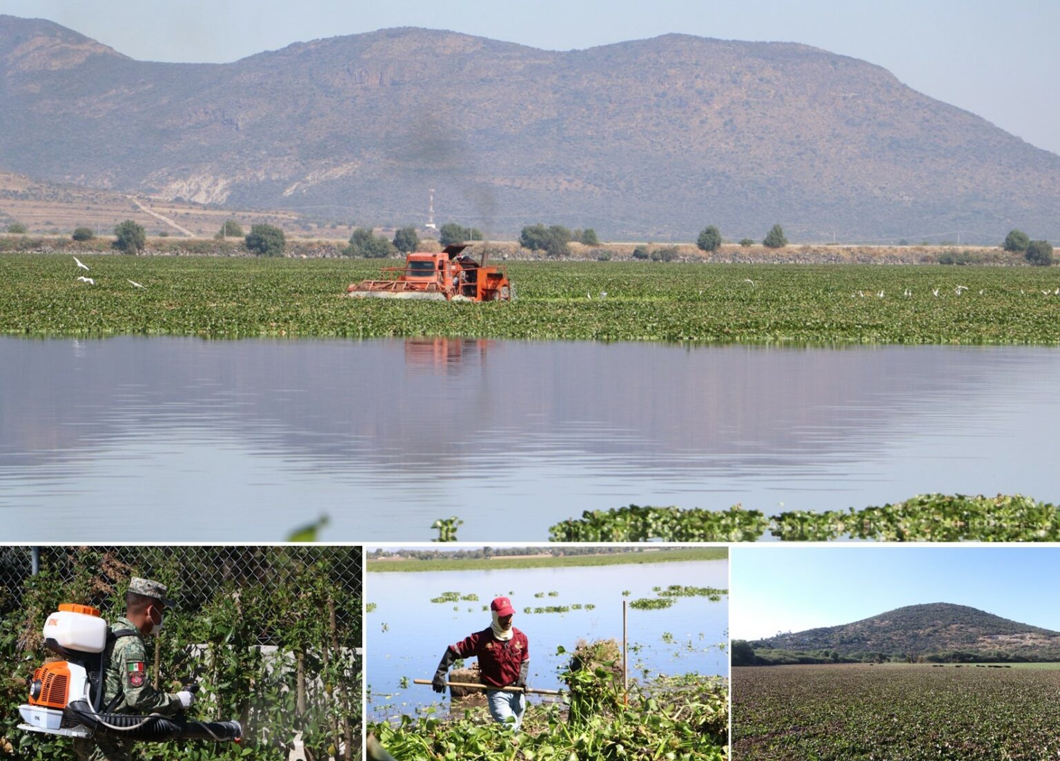Intensifican acciones en la Presa Endhó