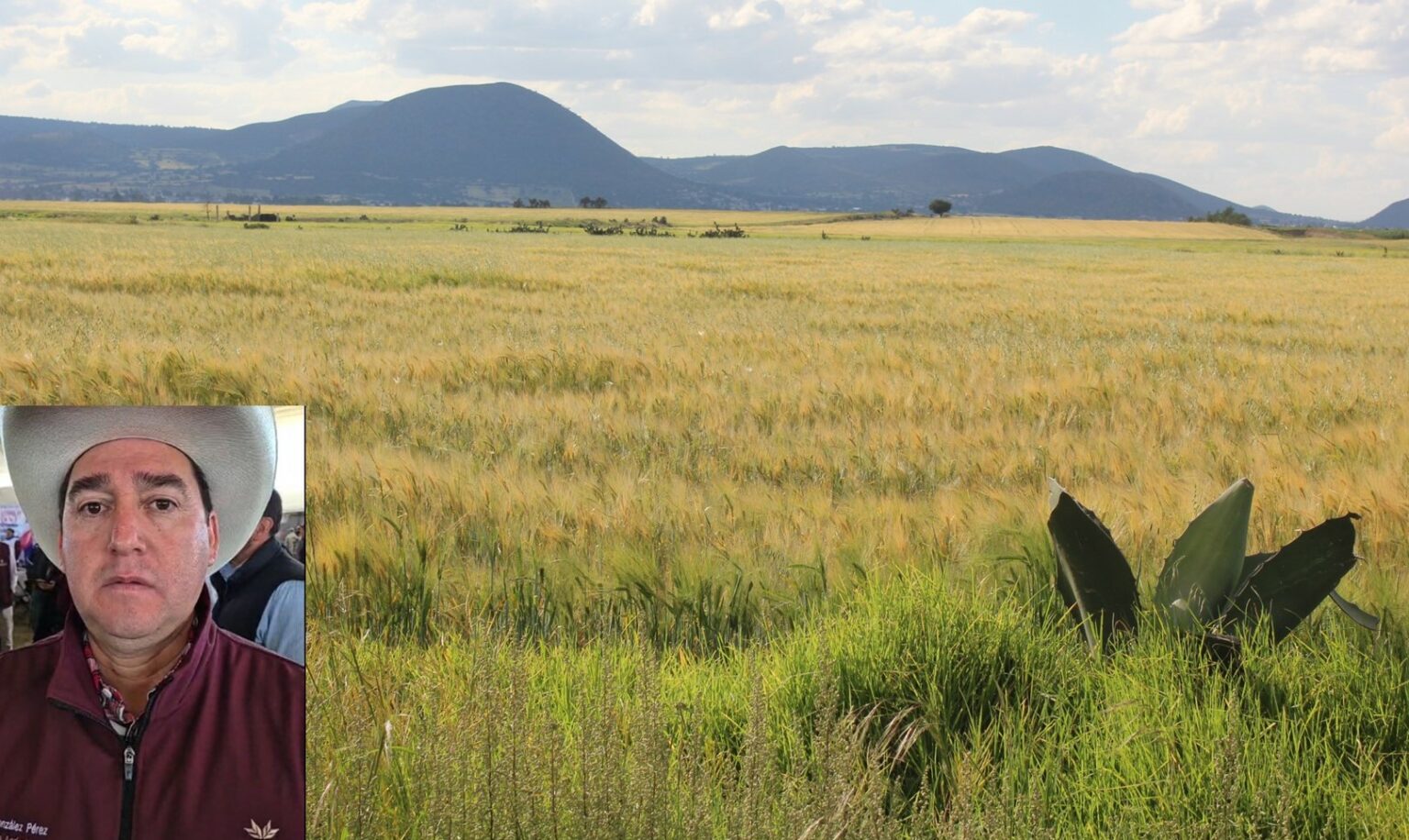 Cebaderos depositan su confianza en Napoleón González