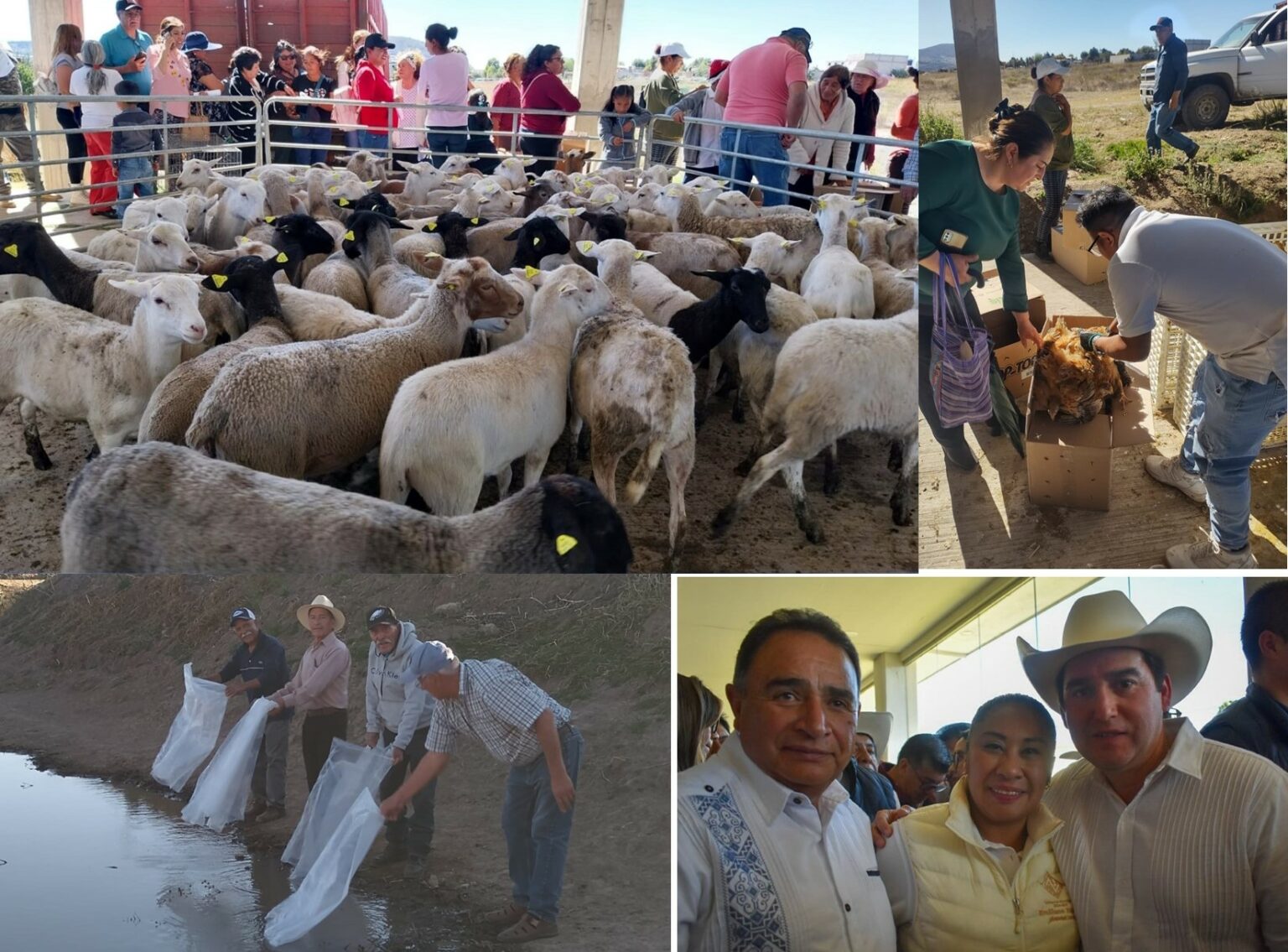 Importantes apoyos para los trabajadores del campo