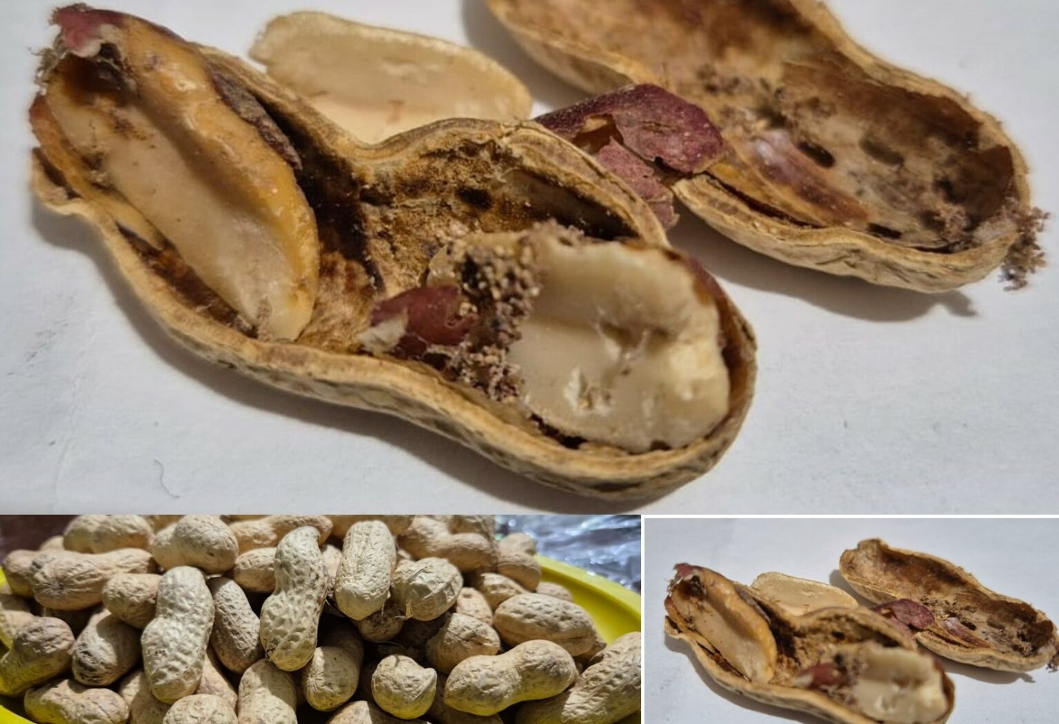 Una porquería los cacahuates importados de China