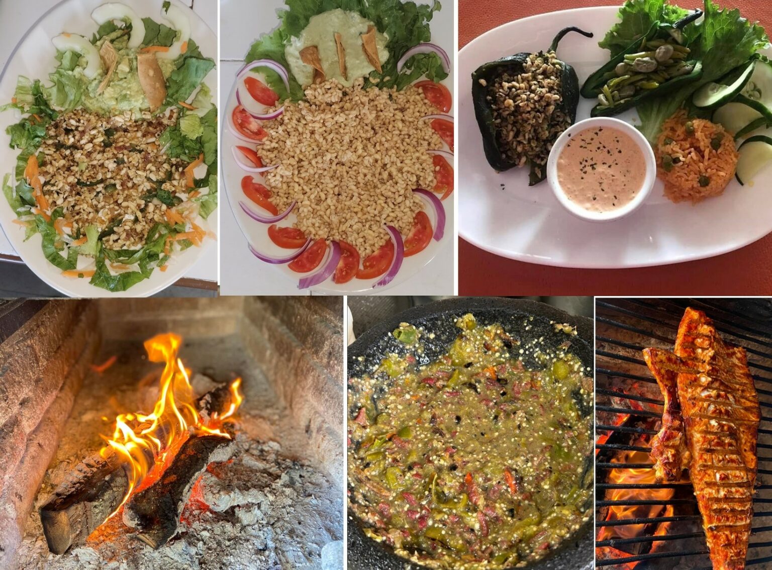 Disfruta exquisitos platillos con los primeros escamoles